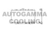 AUTOGAMMA 100420 Radiator, engine cooling